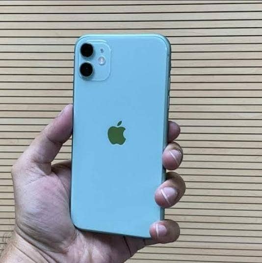 Apple iPhone 11 0