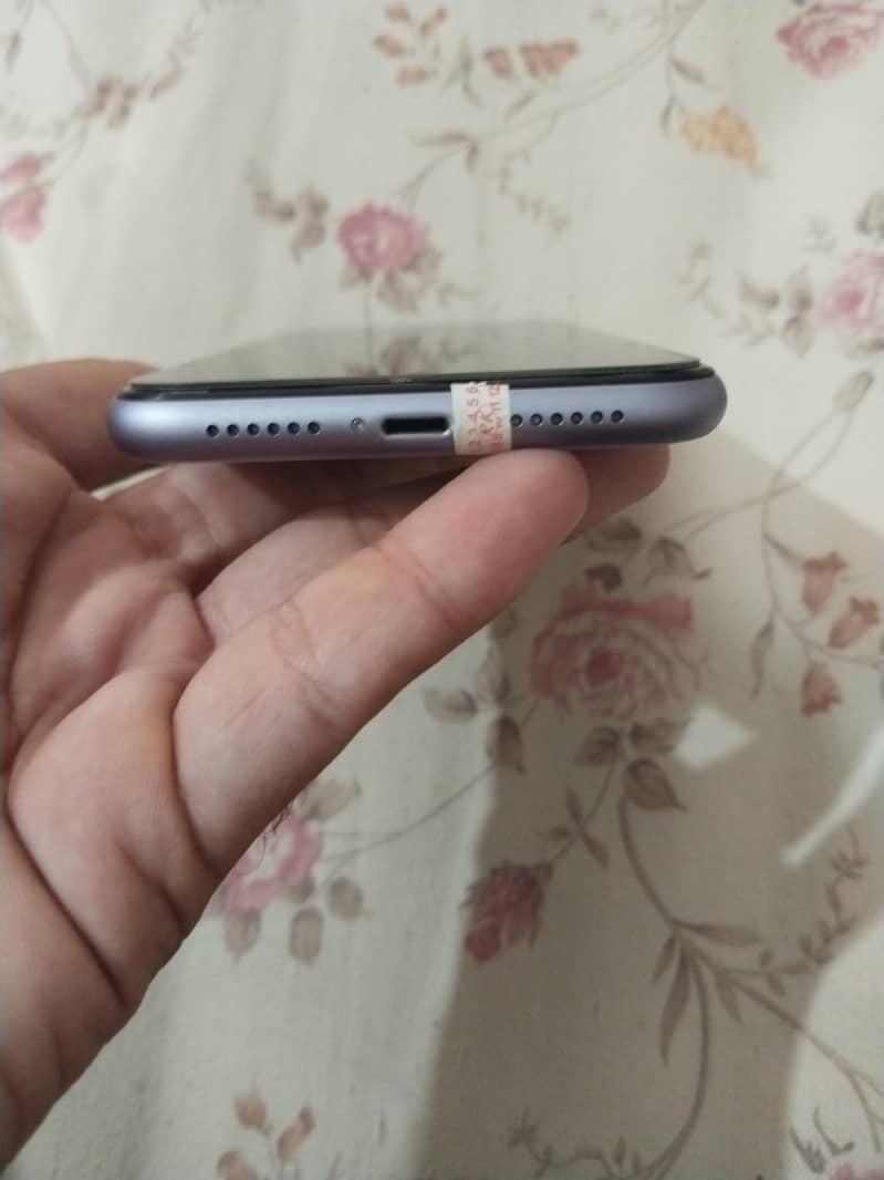 Apple iPhone 11 3