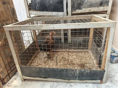 Bird Cage For Sale
