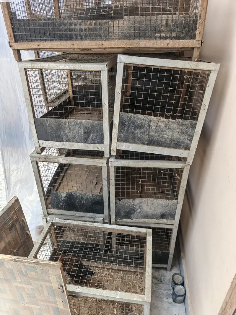 Bird Cage For Sale — photo 2