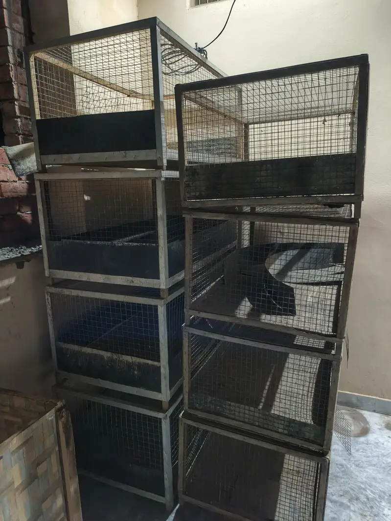 Bird Cage For Sale — photo 3