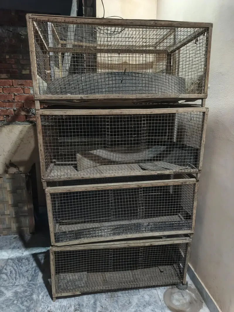 Bird Cage For Sale — photo 4