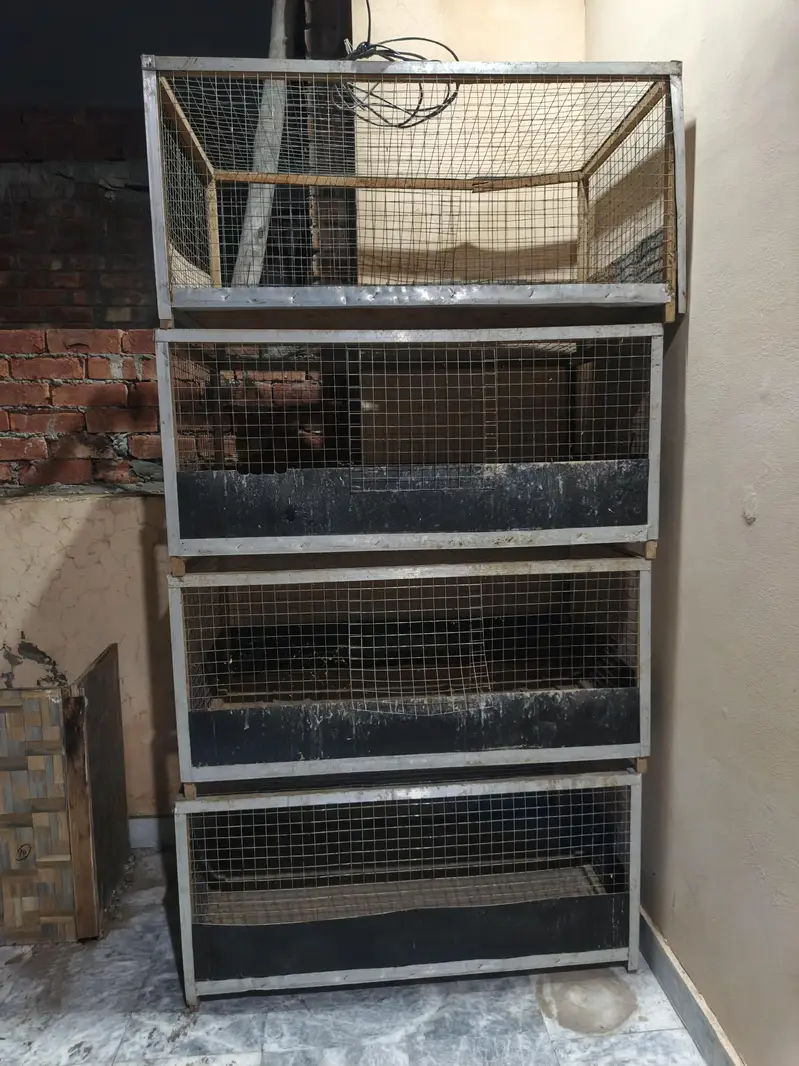 Bird Cage For Sale — photo 7