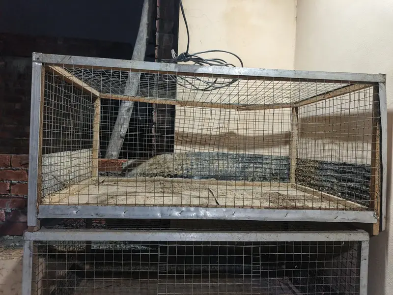 Bird Cage For Sale — photo 8