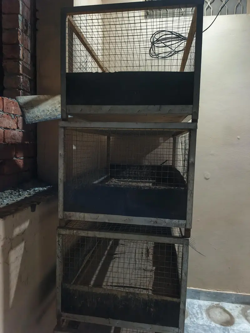 Bird Cage For Sale — photo 9