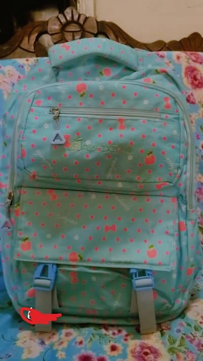 beautiful Korean school bag