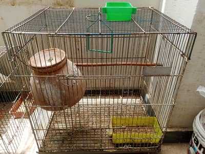 Parrot cage