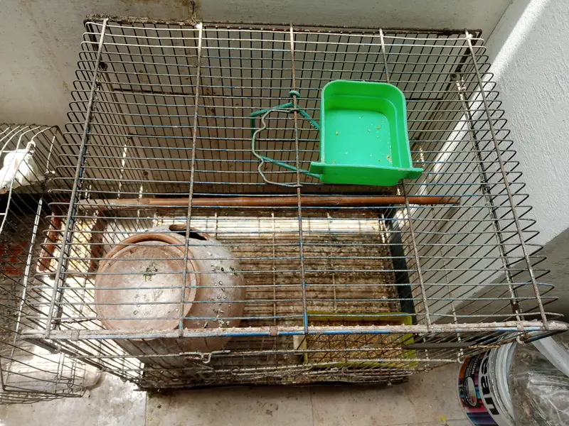 Parrot cage — photo 2