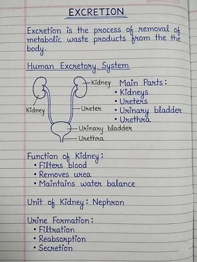 Education related to medical .