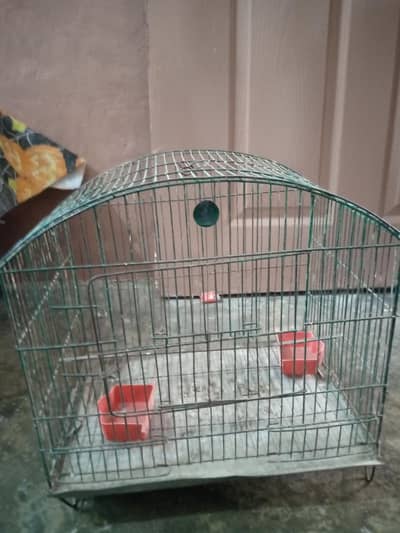 birds cage available