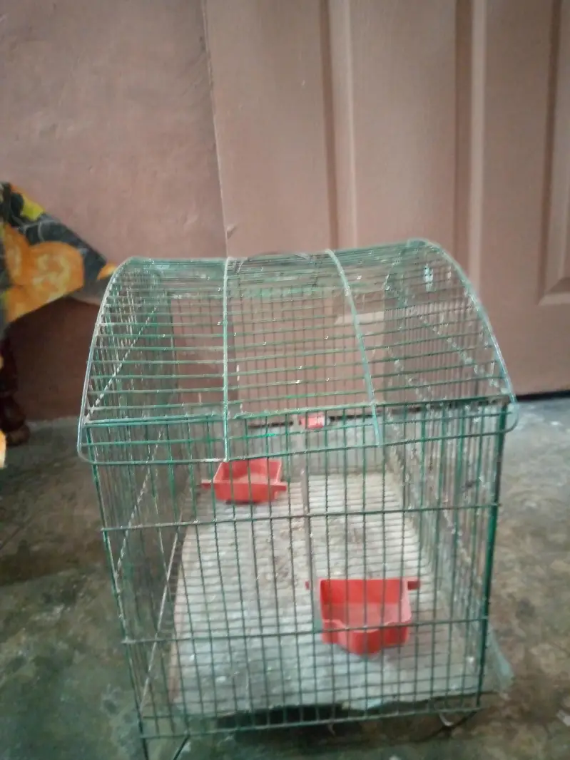 birds cage available watsaap 03145485298 — photo 2