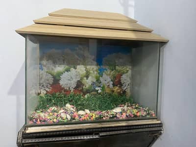 AQUARIUM
