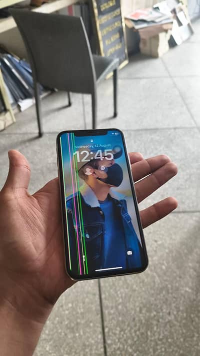 Apple iPhone X