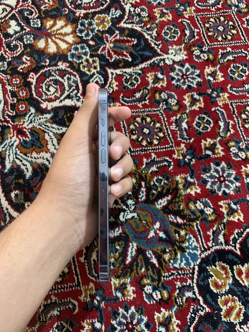 Apple iPhone 13 Pro Max 2