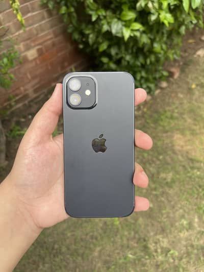 IPHONE 12