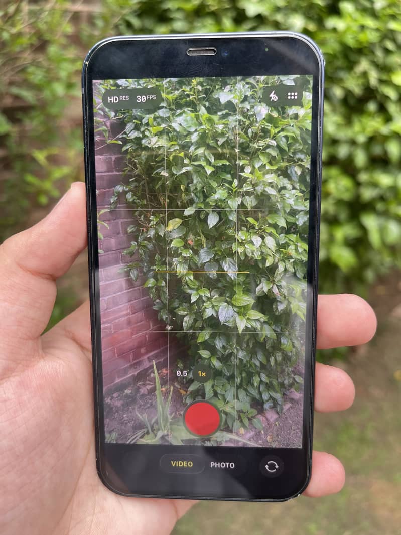 IPHONE 12 8