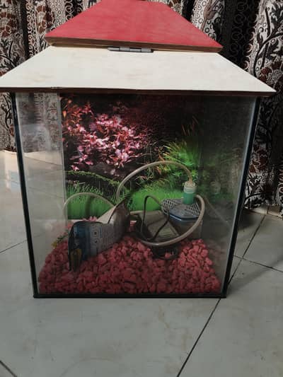 new fish acoriyam