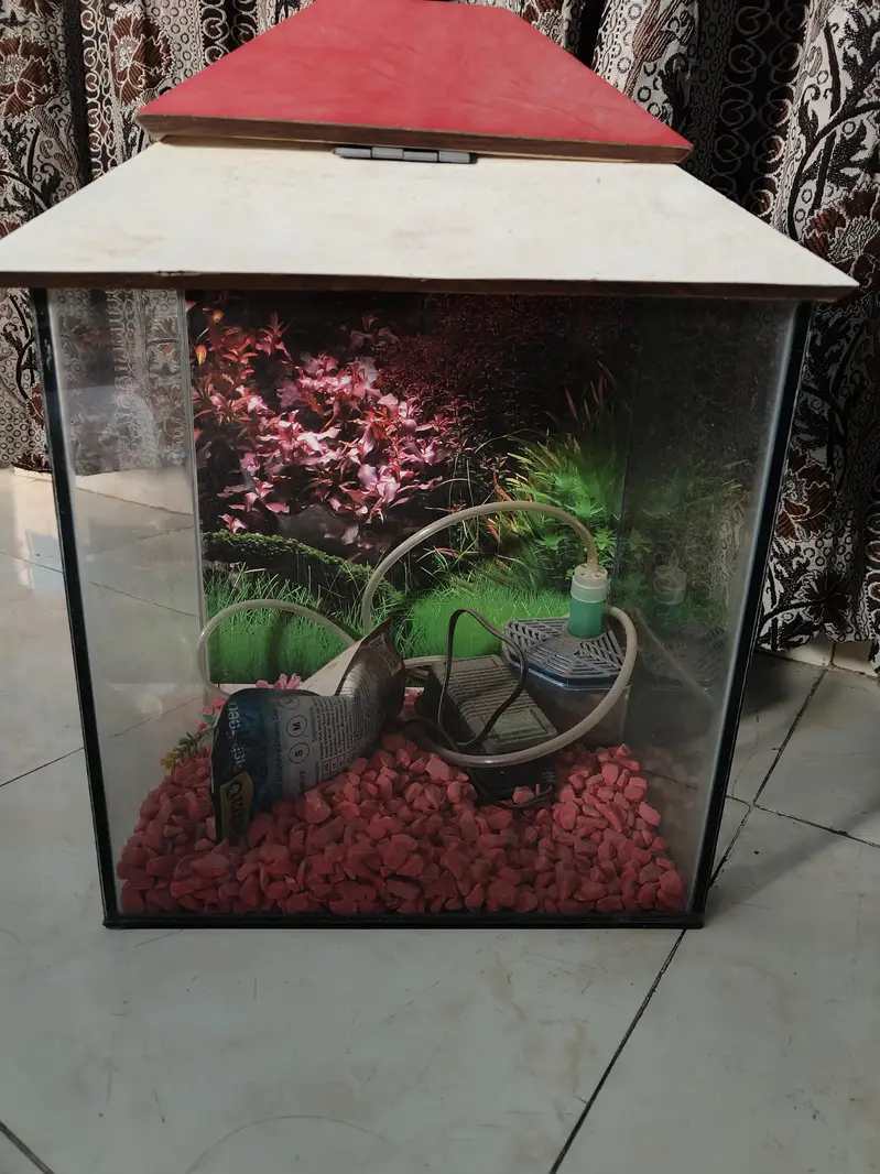 new fish acoriyam
