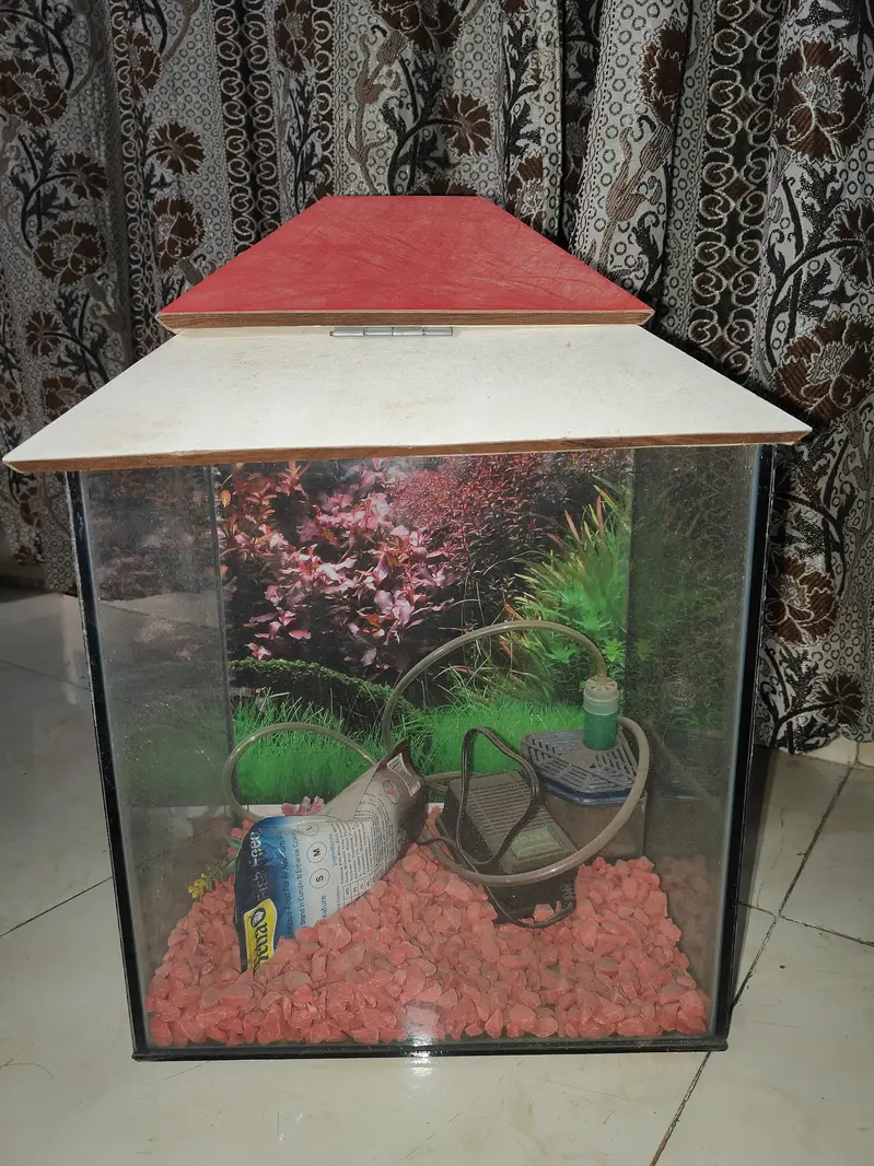 new fish acoriyam — photo 2