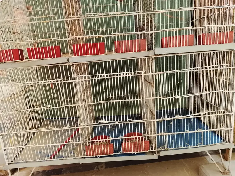 Cages — photo 8