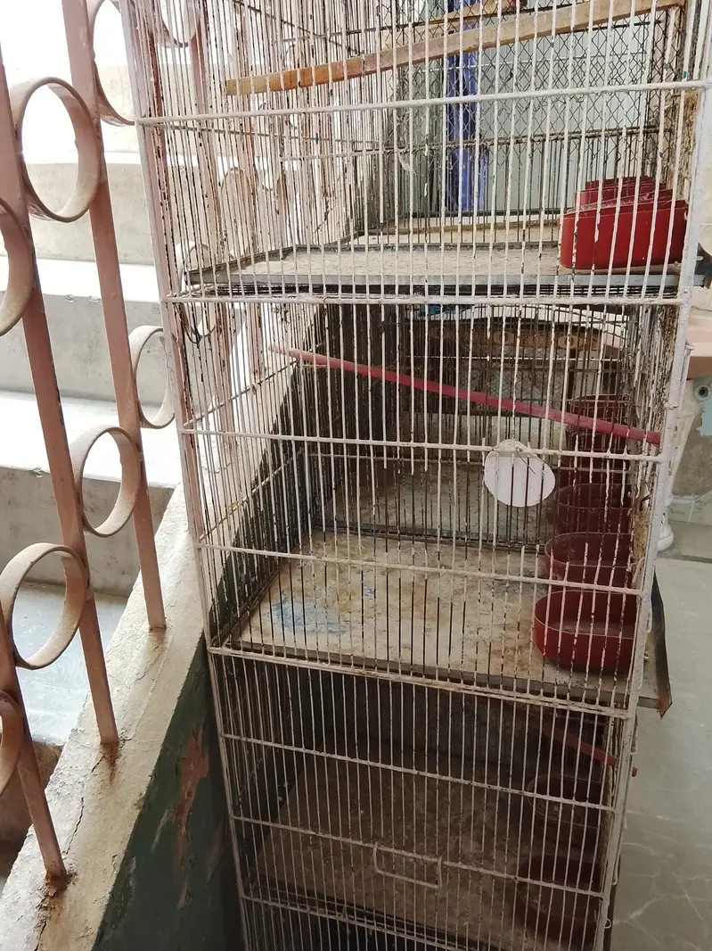 Cages — photo 10