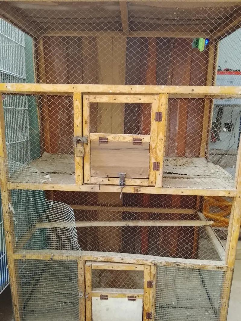 Cages — photo 11