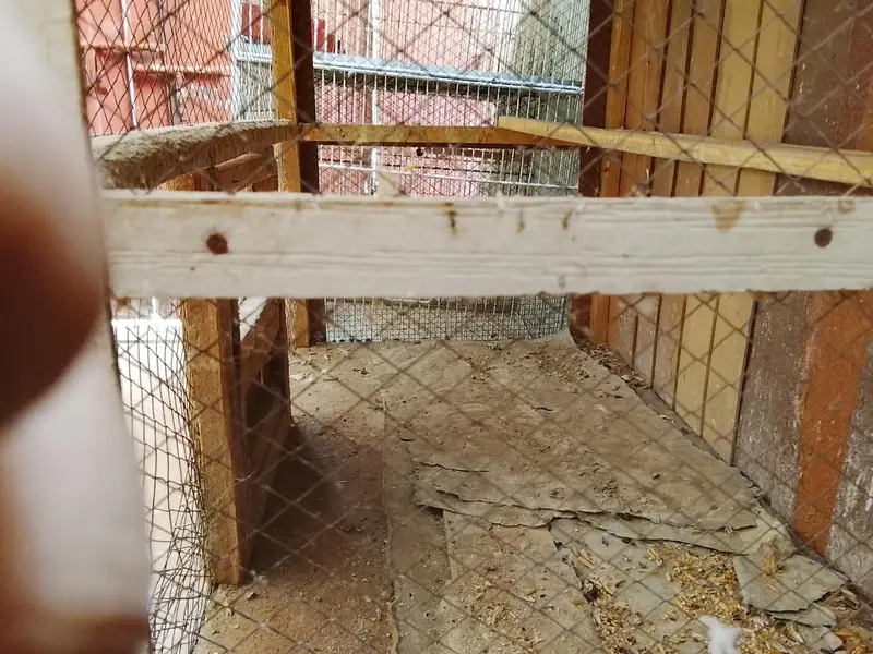 Cages — photo 12