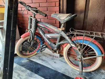 cycle for reasonable price