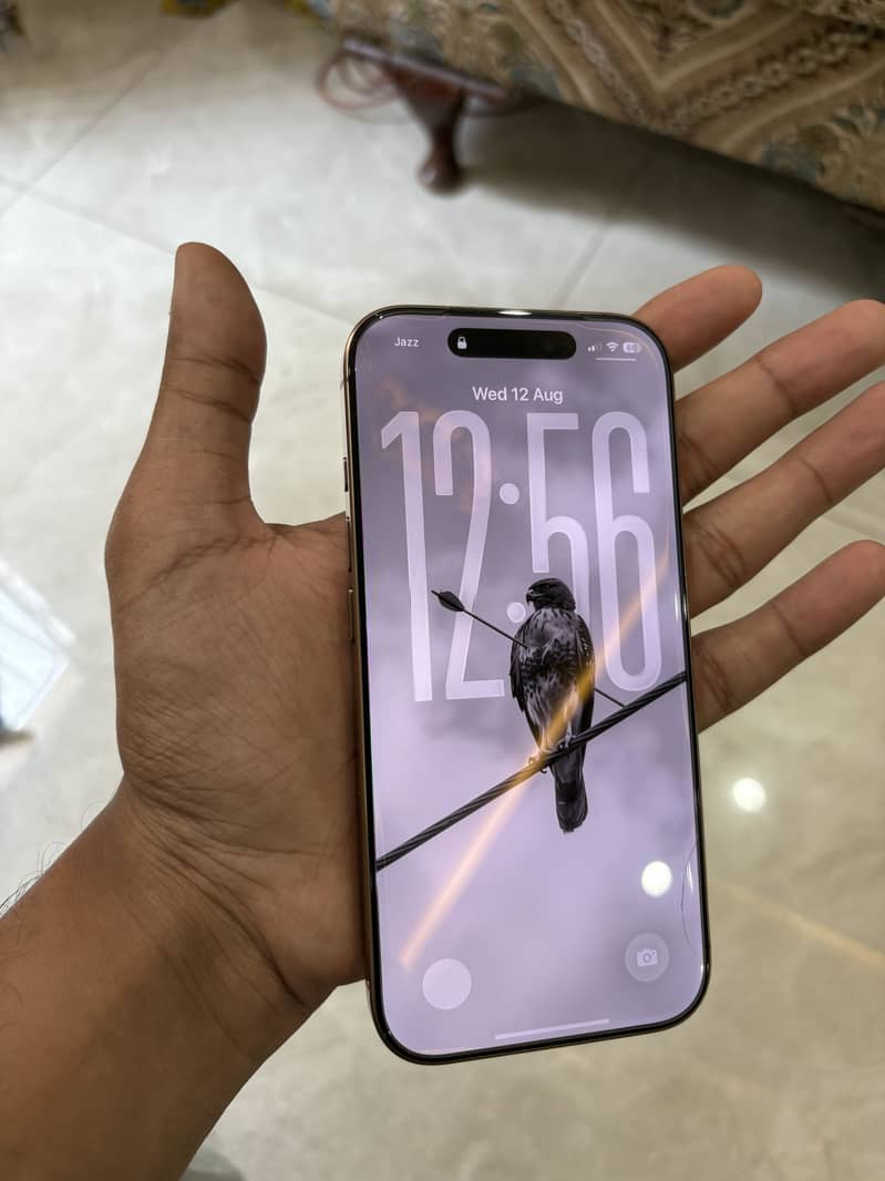Apple iPhone 16 Pro 1