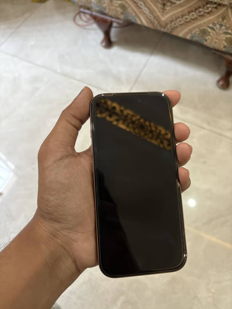 Apple iPhone 16 Pro 2