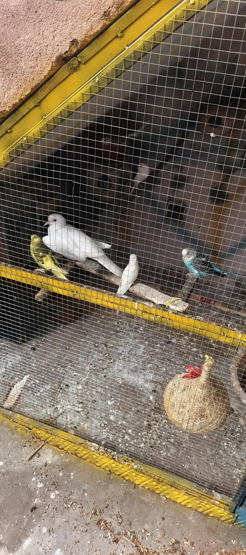 03117909223 — photo 9