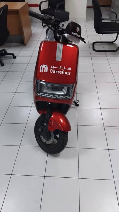 Saige N300 model