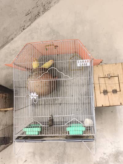 4 pair fisher and 2 pair love birds 2 iron k cage and 7 fisher .
