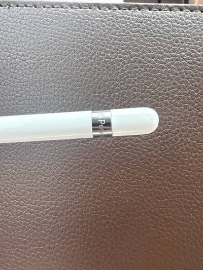 Apple pencil 1st generation (lightening type)