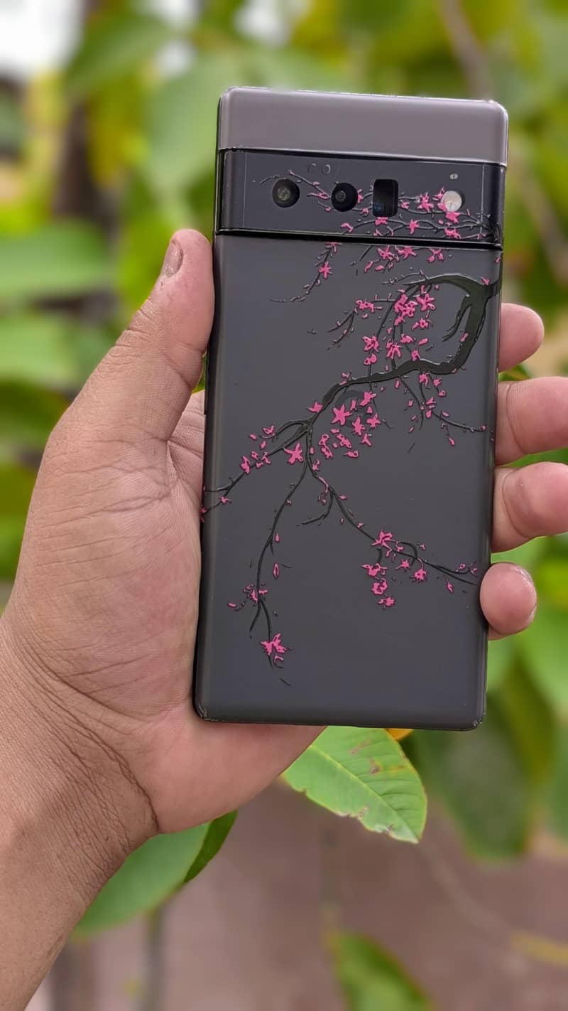 Google Pixel 6 Pro 0