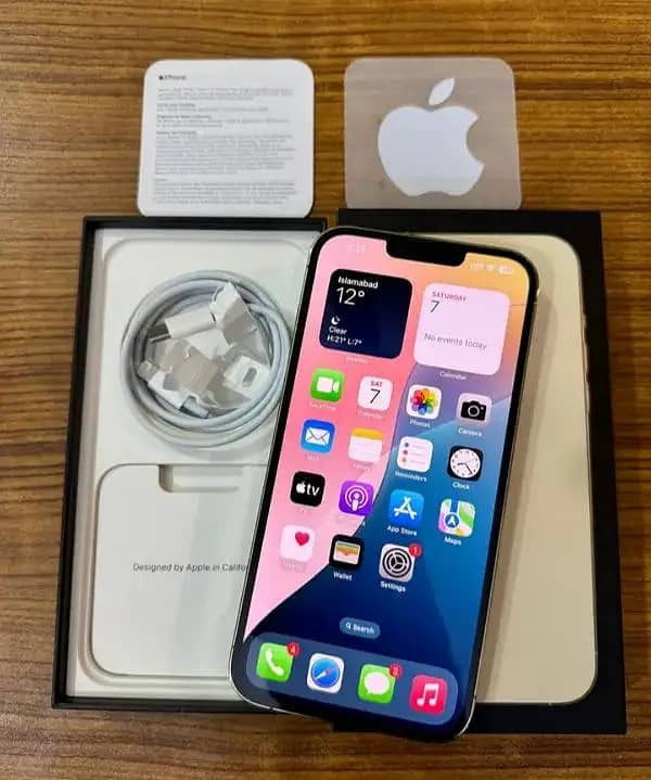 Apple iPhone 13 0