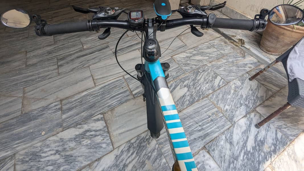 BICYCLE WITH EVERYTHING 1