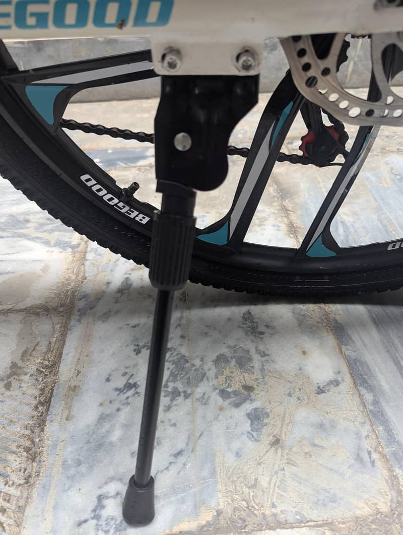BICYCLE WITH EVERYTHING 3