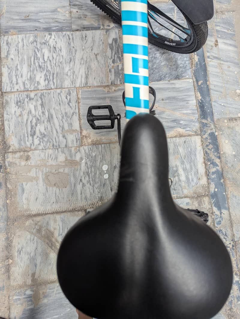 BICYCLE WITH EVERYTHING 5
