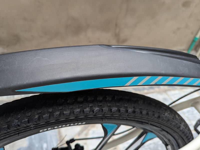 BICYCLE WITH EVERYTHING 6