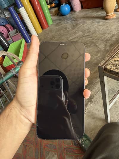 Apple iPhone 12 Pro Max
