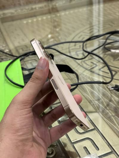 Apple iPhone 16 Pro