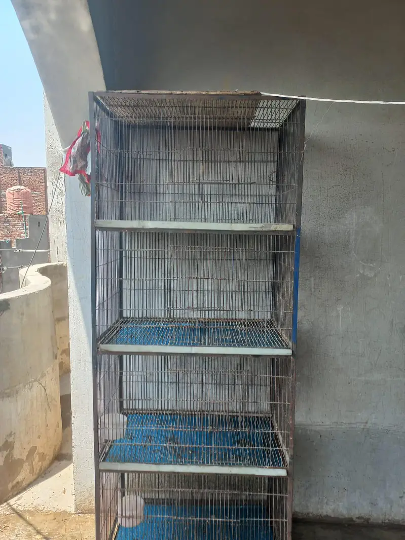 Pinjra- for bird's پرندوں کے لیے بہترین پنجرہ چار خانے ہے