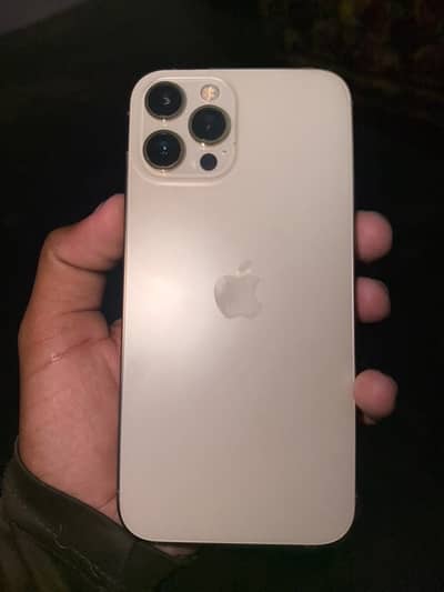 Apple iPhone 12 Pro Max