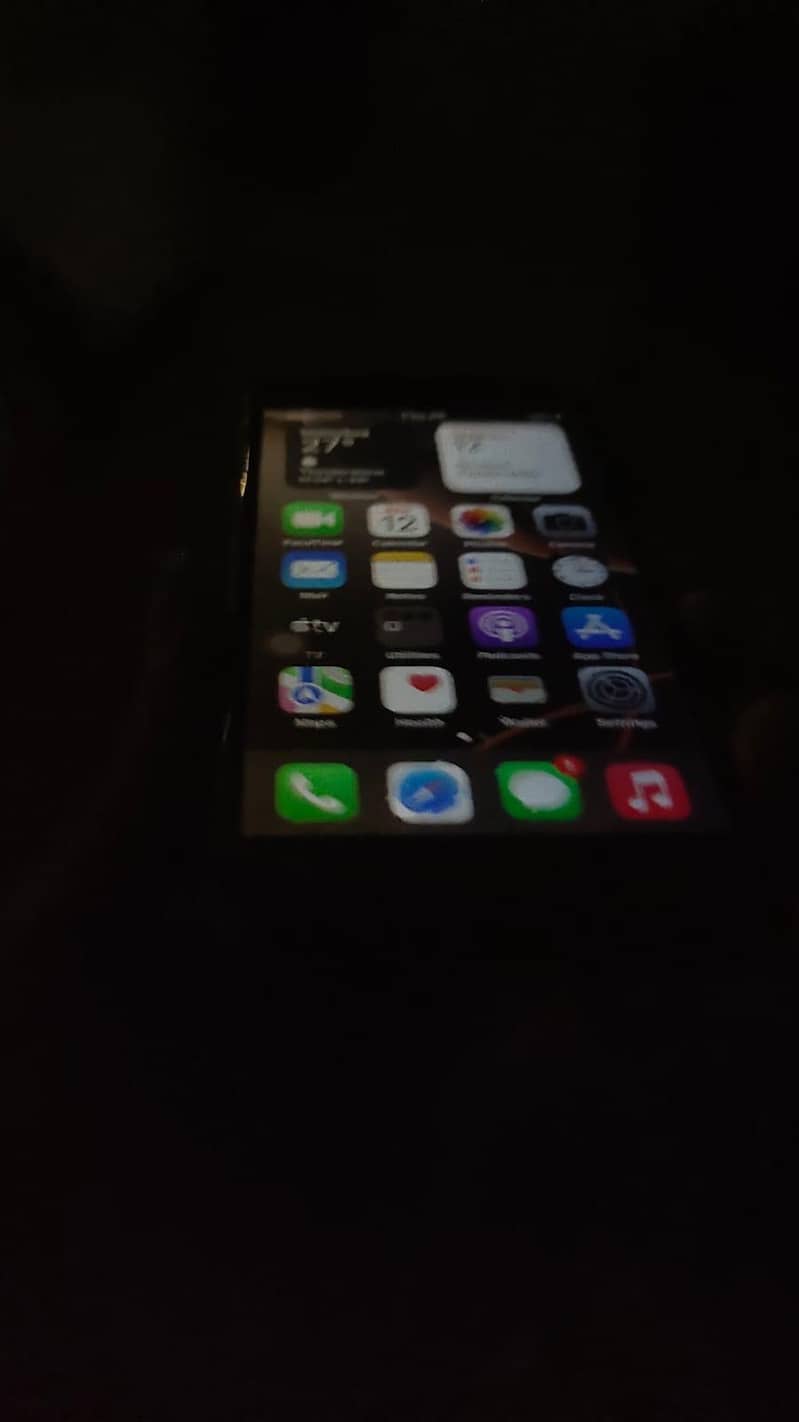 Apple iPhone 7 Plus 1