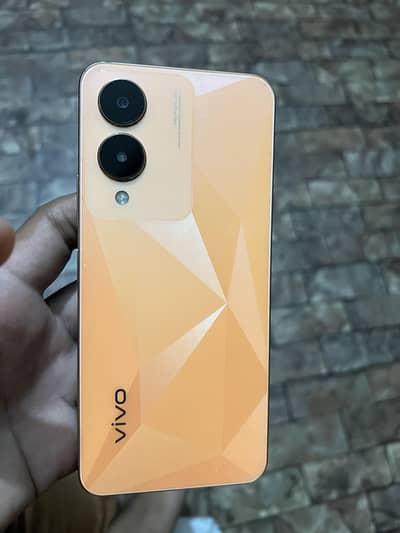Vivo Y17s . 6/128 with box charger