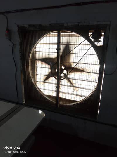 egzat fan
