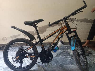 bicycle in 10/10 condition