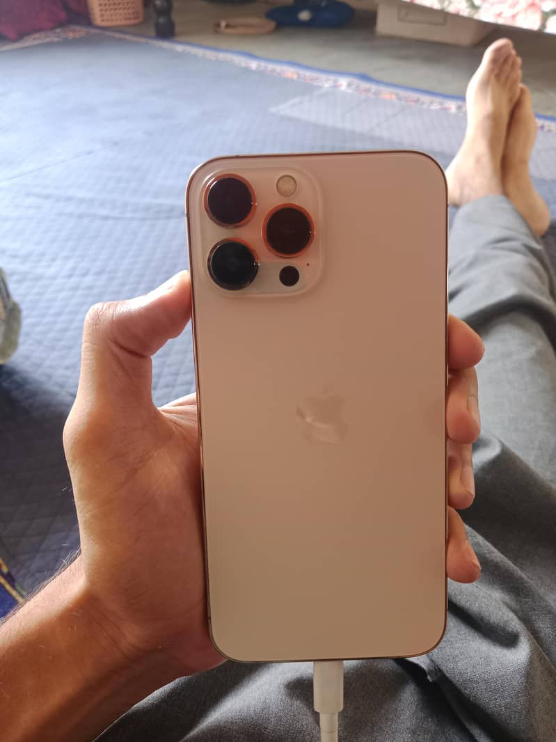 Apple iPhone 13 Pro Max 0