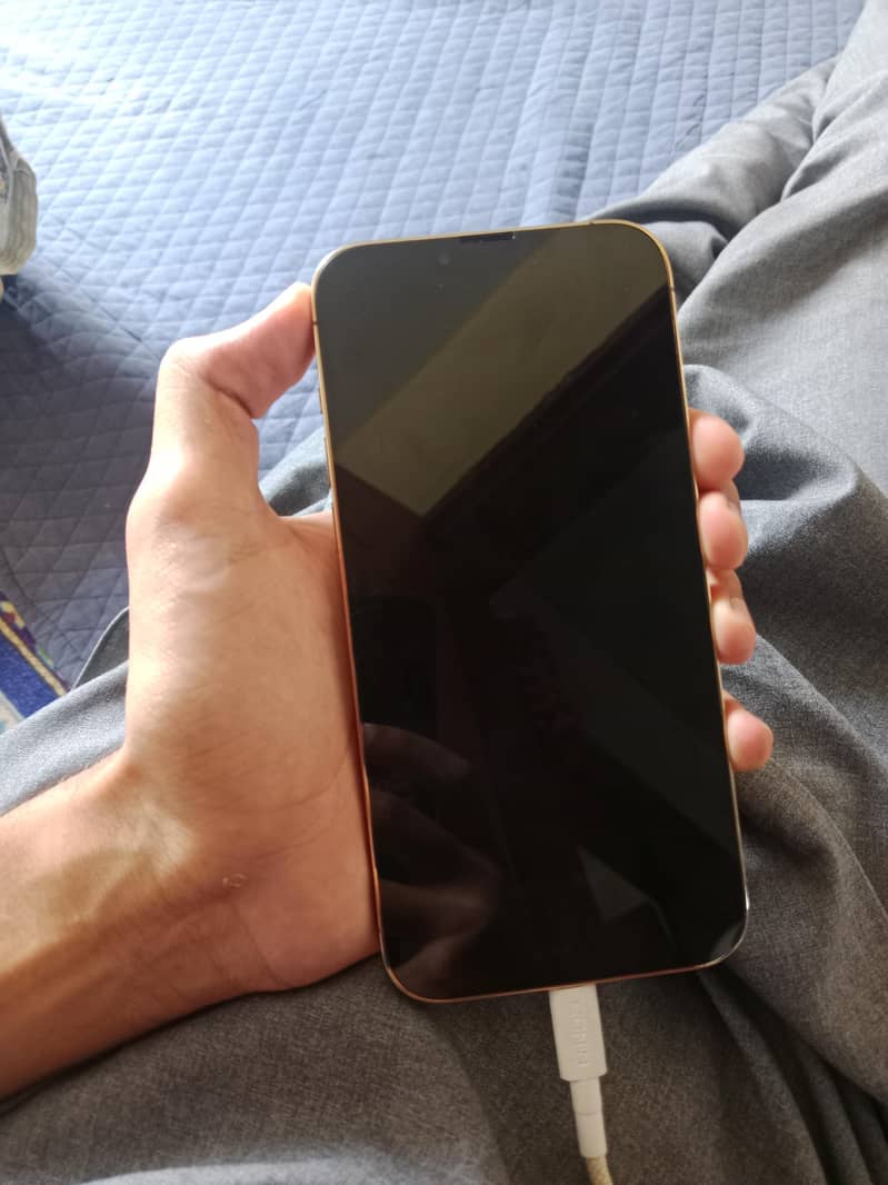 Apple iPhone 13 Pro Max 1